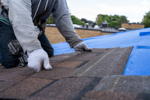 Best Metal Roofing Contractor  in West Tawakoni, TX
